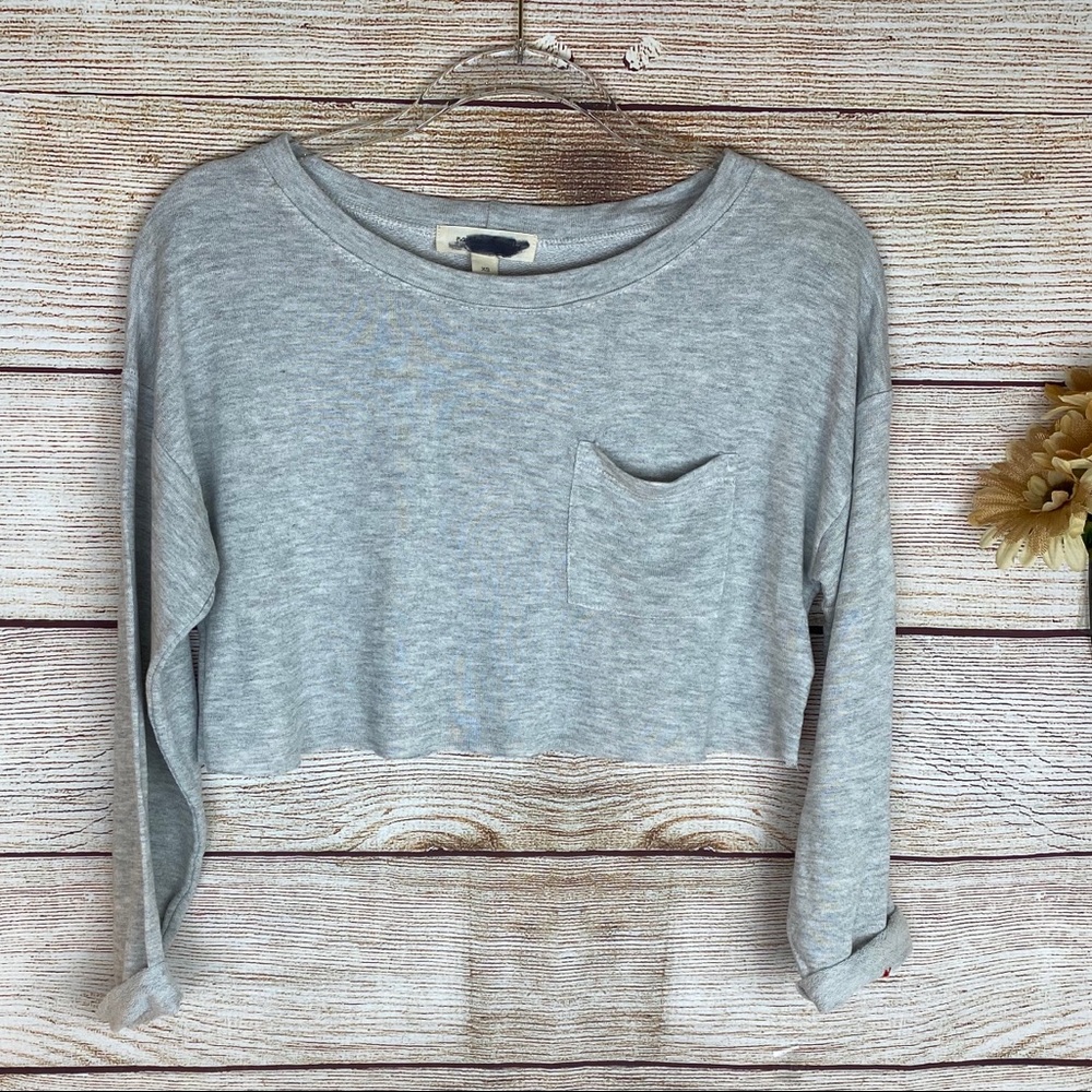 Painted Threads Long Sleeve Crew Gray Crop Top